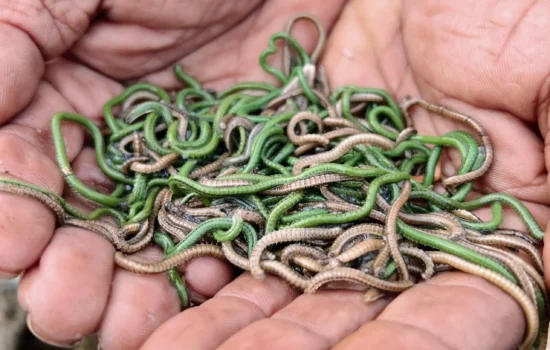 EFD8BE58-BA83-44AE-A1DA-E0FC2BC93D16